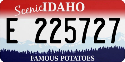 ID license plate E225727