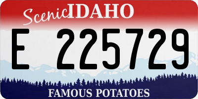 ID license plate E225729