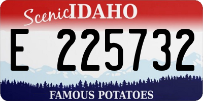 ID license plate E225732