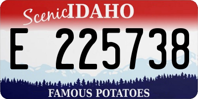 ID license plate E225738