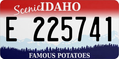 ID license plate E225741