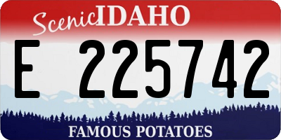 ID license plate E225742