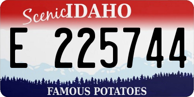 ID license plate E225744