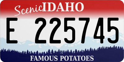 ID license plate E225745