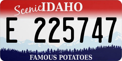 ID license plate E225747