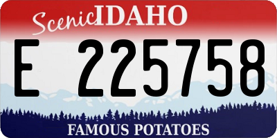 ID license plate E225758