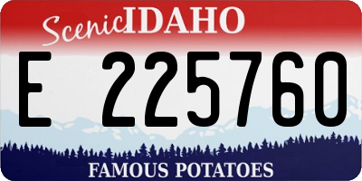 ID license plate E225760