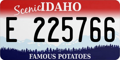 ID license plate E225766