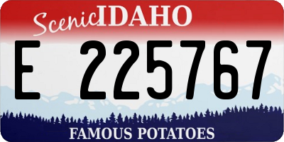 ID license plate E225767
