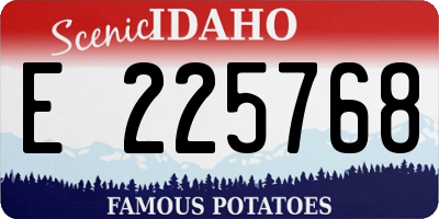 ID license plate E225768