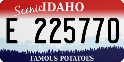 ID license plate E225770