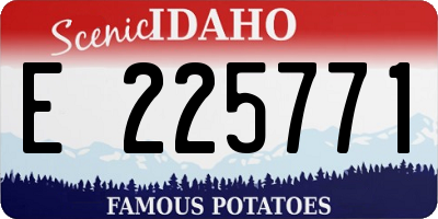 ID license plate E225771