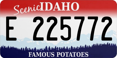 ID license plate E225772