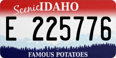 ID license plate E225776