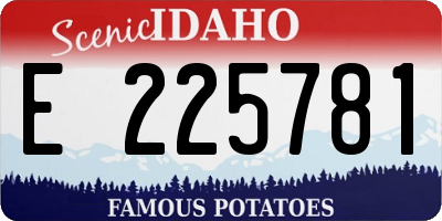 ID license plate E225781