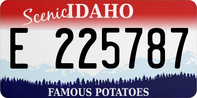 ID license plate E225787