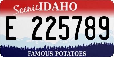 ID license plate E225789