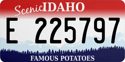ID license plate E225797