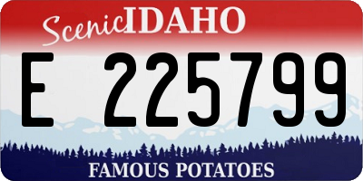 ID license plate E225799