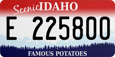 ID license plate E225800