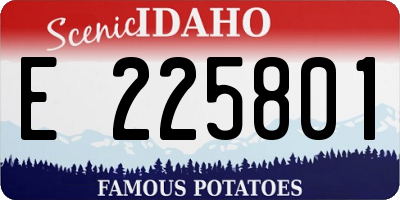 ID license plate E225801