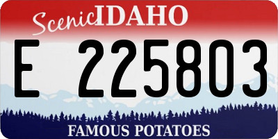 ID license plate E225803
