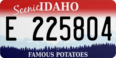 ID license plate E225804