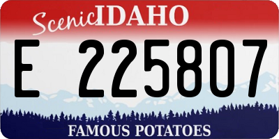 ID license plate E225807