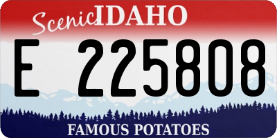 ID license plate E225808