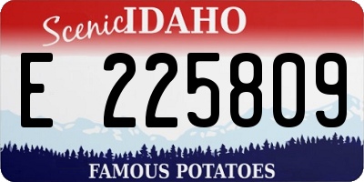 ID license plate E225809