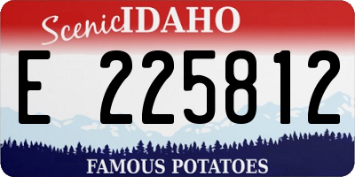 ID license plate E225812