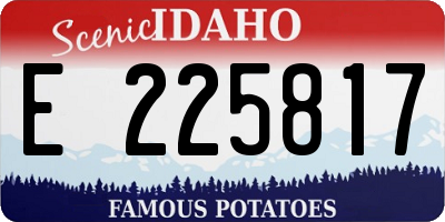 ID license plate E225817