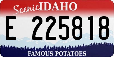 ID license plate E225818
