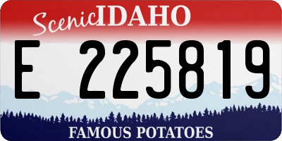 ID license plate E225819