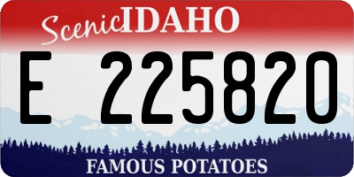 ID license plate E225820