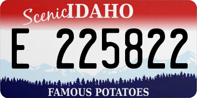 ID license plate E225822