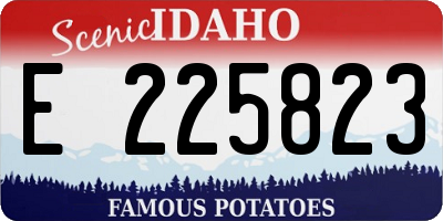 ID license plate E225823