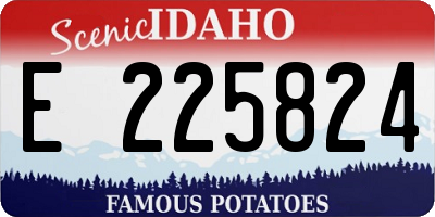 ID license plate E225824