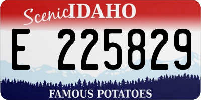ID license plate E225829