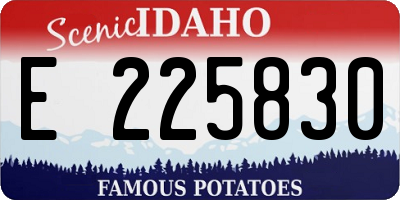 ID license plate E225830