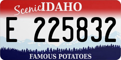 ID license plate E225832