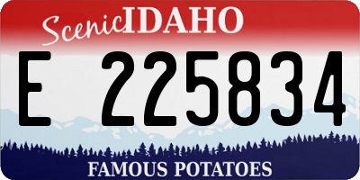 ID license plate E225834