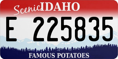 ID license plate E225835