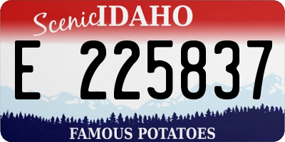 ID license plate E225837