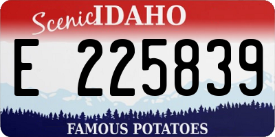 ID license plate E225839