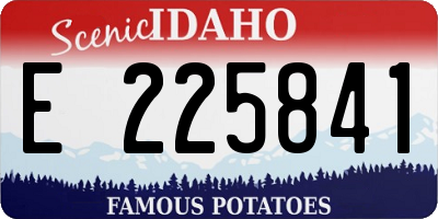 ID license plate E225841