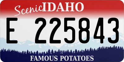ID license plate E225843