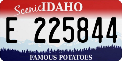 ID license plate E225844