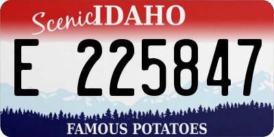 ID license plate E225847