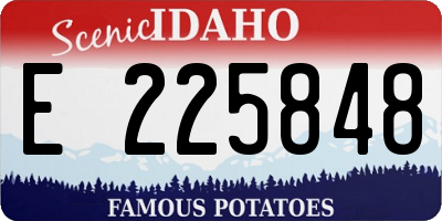 ID license plate E225848